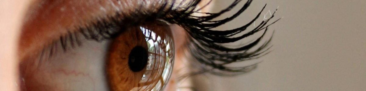 Detailed photo showing a brown eye with long eyelashes and eyebrow.